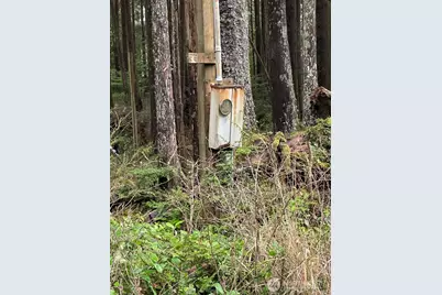 44 Robin Lane, Pacific Beach, WA 98571 - Photo 4