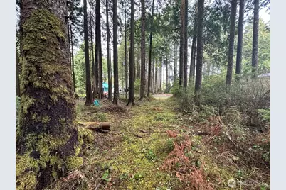 44 Robin Lane, Pacific Beach, WA 98571 - Photo 6