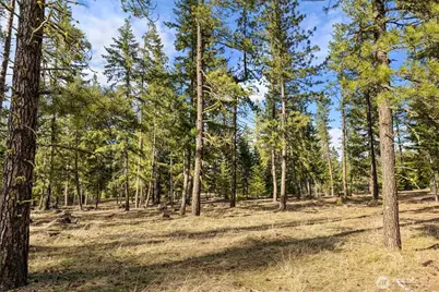 31 Domerie Park Loop, Cle Elum, WA 98922 - Photo 12