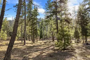 31 Domerie Park Loop, Cle Elum, WA 98922 - Photo 1