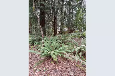 1506 Ann Street NE, Olympia, WA 98506 - Photo 4