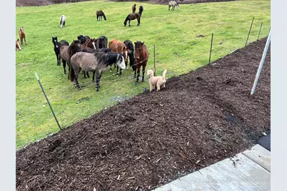 9410 76th Avenue NE, Marysville, WA 98270 - Photo 36