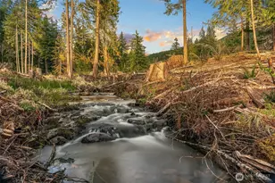 118 Burl Ln, Packwood, WA 98361 - Photo 6