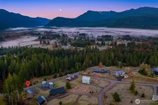 118 Burl Ln, Packwood, WA 98361 - Photo 38