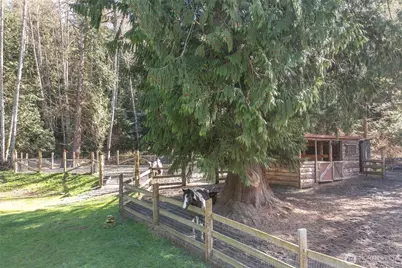 653 Cedar Hill Road, Orcas Island, WA 98245 - Photo 40