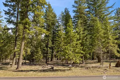 60 Wanawish Loop, Cle Elum, WA 98922 - Photo 8