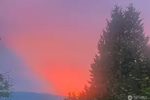 1910 NW 97th St, Seattle, WA 98117 - Photo 34