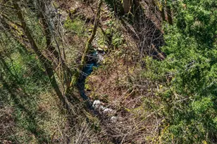 1000 Cabin Creek Ln SW, Issaquah, WA 98027 - Photo 26