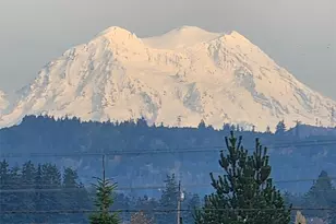 16826 Sheldon Ln SW, Rochester, WA 98579 - Photo 2