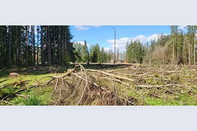 444 Meier Road, Winlock, WA 98596 - Photo 2