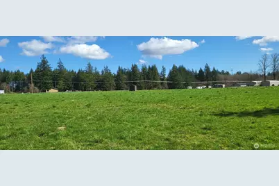 444 Meier Road, Winlock, WA 98596 - Photo 10