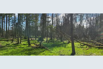 444 Meier Road, Winlock, WA 98596 - Photo 6