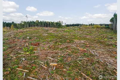 1 Xxx 16th Avenue E, Roy, WA 98580 - Photo 10