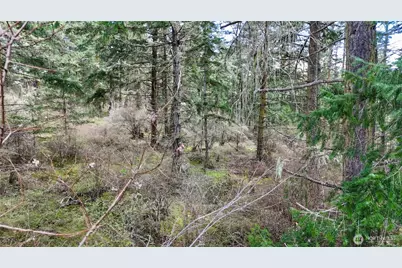 0 Egg Lake Road, Friday Harbor, WA 98250 - Photo 8
