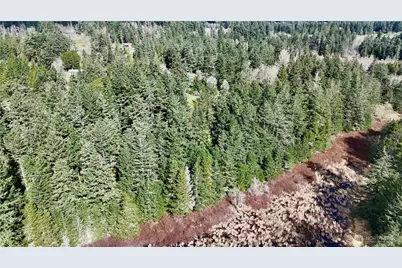 0 Egg Lake Road, Friday Harbor, WA 98250 - Photo 4