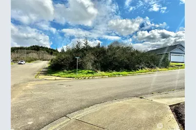 0 Curlew Court, Hoquiam, WA 98550 - Photo 6