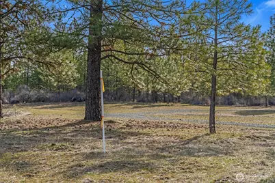 38800 E Sand Flats, Davenport, WA 99122 - Photo 4