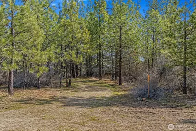 38800 E Sand Flats, Davenport, WA 99122 - Photo 6