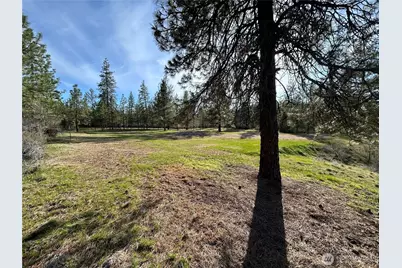 38800 E Sand Flats, Davenport, WA 99122 - Photo 8