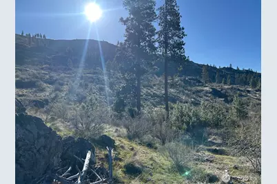 1669 Emerson Acres Road, Manson, WA 98831 - Photo 6