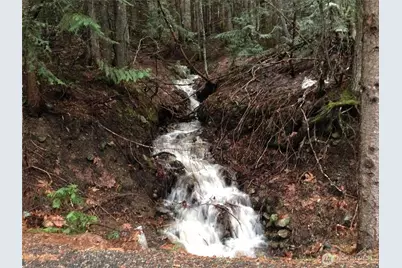 220 Mountain Home Lane, Easton, WA 98925 - Photo 30