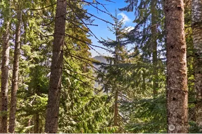 220 Mountain Home Lane, Easton, WA 98925 - Photo 20