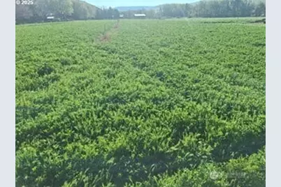 54884 Day Road, Milton-Freewater, OR 97862 - Photo 8