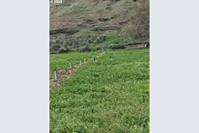 54884 Day Road, Milton-Freewater, OR 97862 - Photo 6