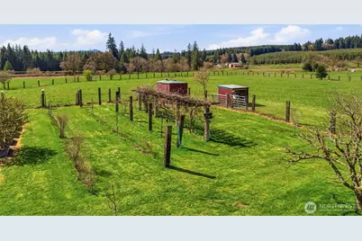 152 Simme Valley Lane, Winlock, WA 98596 - Photo 38