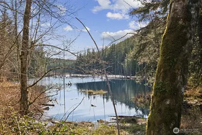 32707 349 Way SE, Ravensdale, WA 98051 - Photo 32