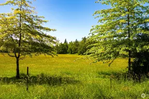 0 Pipeline Rd, Blaine, WA 98230 - Photo 1