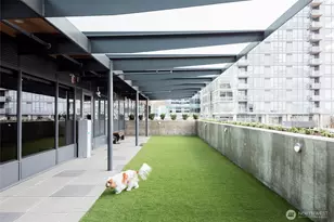 1808 Minor Ave, Seattle, WA 98101 - Photo 30