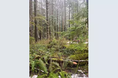 59508 Placer Place, Sultan, WA 98294 - Photo 22