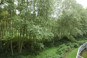 12720 NE 10th Pl, Bellevue, WA 98007 - Photo 2