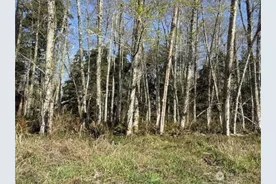 0 Lot 21 Ander Park Road, Freeland, WA 98249 - Photo 2