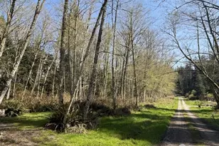 0 Lot 21 Ander Park Rd, Freeland, WA 98249 - Photo 1