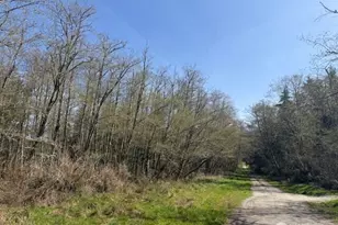 0 Lot 2 Ander Park Rd, Freeland, WA 98249 - Photo 1