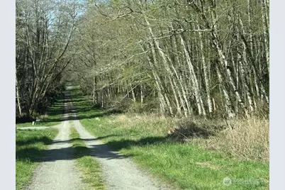 0 Lot 2 Ander Park Road, Freeland, WA 98249 - Photo 4