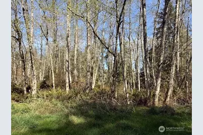 0 Lot 15 Ander Park Road, Freeland, WA 98249 - Photo 1