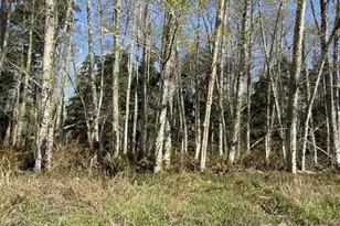 0 Lot 18 Ander Park Rd, Freeland, WA 98249 - Photo 1