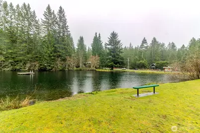 101 Mountain View Dr, Ashford, WA 98304 - Photo 38