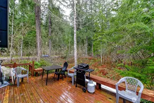 101 Mountain View Dr, Ashford, WA 98304 - Photo 28