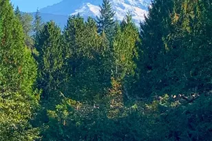 14608 A P Tubbs Rd E, Buckley, WA 98321 - Photo 30