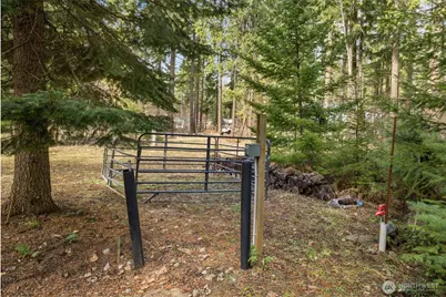 91 Blue Spruce Drive, Easton, WA 98925 - Photo 6