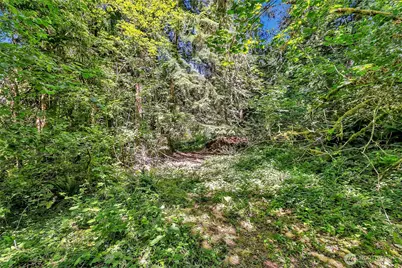 28215 SE 216th Street, Maple Valley, WA 98038 - Photo 12