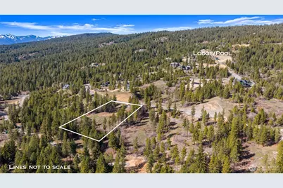 6 Forest Ridge (Lot 6) Drive, Cle Elum, WA 98922 - Photo 4