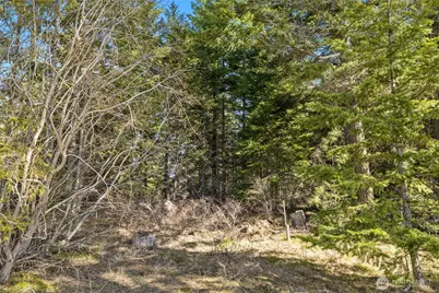 78 Forest Ridge (Lot 78) Drive, Cle Elum, WA 98922 - Photo 2