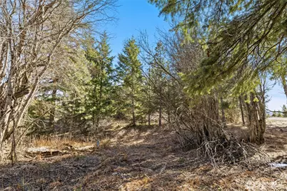 78 Forest Ridge (Lot 78) Drive, Cle Elum, WA 98922 - Photo 4