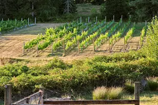 11700 NE 279th St, Battle Ground, WA 98604 - Photo 22