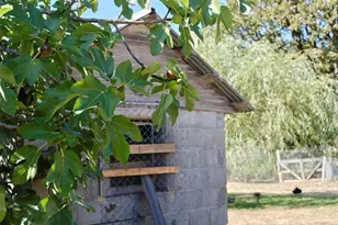 11700 NE 279th St, Battle Ground, WA 98604 - Photo 26